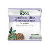 Patanjali Divya Putrajeevak Beej 250 gm Pack of 1