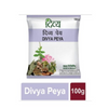 patanjali divya peya 100 gm 2 pcs buy online