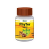 patanjali divya phyter tablet 60 tab