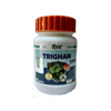 Patanjali Divya Trighan 60 Tab Pack of 1